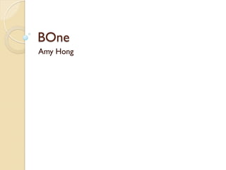 BOne
Amy Hong
 