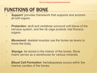 Bone | PPT