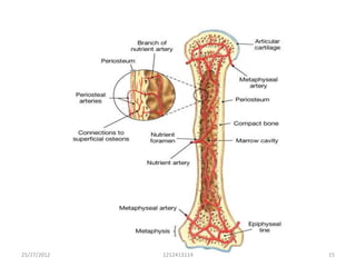 25/27/2012   1212413114   15
 