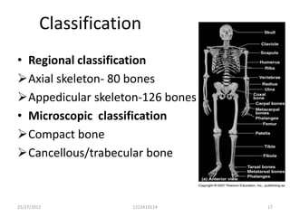 Classification
• Regional classification
Axial skeleton- 80 bones
Appedicular skeleton-126 bones
• Microscopic classification
Compact bone
Cancellous/trabecular bone



25/27/2012           1212413114   17
 