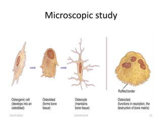 Microscopic study




25/27/2012         1212413114    21
 