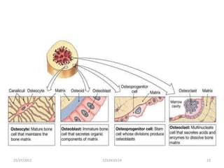 25/27/2012   1212413114   23
 