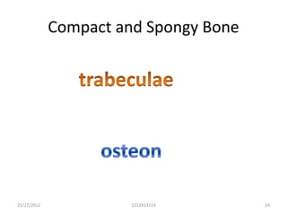 Compact and Spongy Bone




25/27/2012             1212413114      24
 