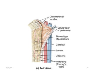 25/27/2012   1212413114   28
 