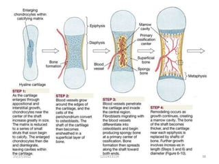 25/27/2012   1212413114   38
 