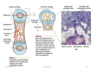 25/27/2012   1212413114   39
 