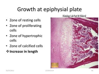 Growth at epiphysial plate
• Zone of resting cells
• Zone of proliferating
  cells
• Zone of hypertrophic
  cells
• Zone of calcified cells
Increase in length



25/27/2012                  1212413114    40
 
