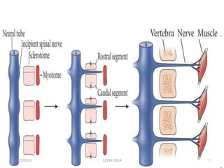 25/27/2012   1212413114   7
 