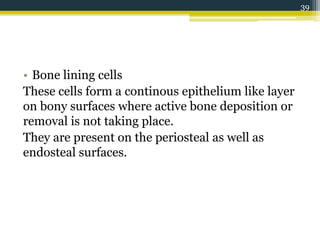 • Bone lining cells
These cells form a continous epithelium like layer
on bony surfaces where active bone deposition or
removal is not taking place.
They are present on the periosteal as well as
endosteal surfaces.
39
 