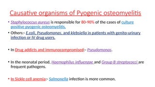 Causative organisms of Pyogenic osteomyelitis
• Staphylococcus aureus is responsible for 80-90% of the cases of culture
positive pyogenic osteomyelitis.
• Others:- E.coli, Pseudomonas, and klebsiella in patients with genito-urinary
infection or IV drug users.
• In Drug addicts and immunocompromised:- Pseudomonas.
• In the neonatal period, Haemophilus influenzae and Group B streptococci are
frequent pathogens.
• In Sickle cell anemia:- Salmonella infection is more common.
 