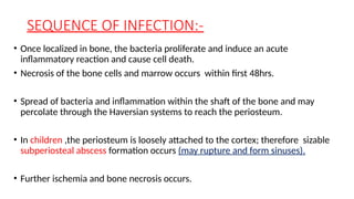 SEQUENCE OF INFECTION:-
• Once localized in bone, the bacteria proliferate and induce an acute
inflammatory reaction and cause cell death.
• Necrosis of the bone cells and marrow occurs within first 48hrs.
• Spread of bacteria and inflammation within the shaft of the bone and may
percolate through the Haversian systems to reach the periosteum.
• In children ,the periosteum is loosely attached to the cortex; therefore sizable
subperiosteal abscess formation occurs (may rupture and form sinuses).
• Further ischemia and bone necrosis occurs.
 