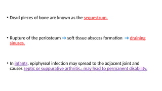 • Dead pieces of bone are known as the sequestrum.
• Rupture of the periosteum → soft tissue abscess formation → draining
sinuses.
• In infants, epiphyseal infection may spread to the adjacent joint and
causes septic or suppurative arthritis.; may lead to permanent disability.
 