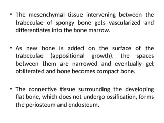 Bone- 2.pptx anatomy physiology pharma otho | PPTX