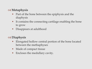  Metaphysis
 Part of the bone between the epiphysis and the
diaphysis
 It contains the connecting cartilage enabling the bone
to grow
 Disappears at adulthood
 Diaphysis
 Elongated hollow central portion of the bone located
between the methaphyses
 Made of compact tissue
 Encloses the medullary cavity.
 