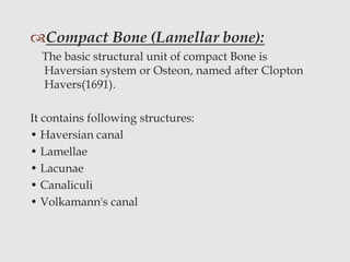 Compact Bone (Lamellar bone):
The basic structural unit of compact Bone is
Haversian system or Osteon, named after Clopton
Havers(1691).
It contains following structures:
• Haversian canal
• Lamellae
• Lacunae
• Canaliculi
• Volkamann's canal
 