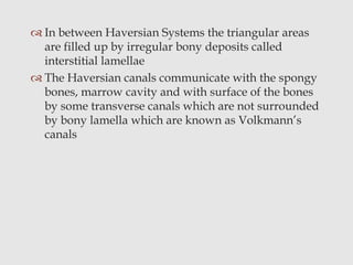  In between Haversian Systems the triangular areas
are filled up by irregular bony deposits called
interstitial lamellae
 The Haversian canals communicate with the spongy
bones, marrow cavity and with surface of the bones
by some transverse canals which are not surrounded
by bony lamella which are known as Volkmann’s
canals
 