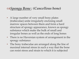 Spongy Bone : (Cancellous bone)
• A large number of very small bony plates
(trabeculae) unite irregularly enclosing small
marrow spaces between them and form a hard
structure of spongy appearance, known as spongy
substance which make the bulk of small and
irregular bones as well as the ends of long bones
• There is no Haversian system of arrangement in the
spongy substance
• The bony trabeculae are arranged along the line of
maximal internal stress in such a way that the bone
can resist stress and strain to which it is subjected
 