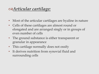 Articular cartilage:
• Most of the articular cartilages are hyaline in nature
• Cells of these cartilages are almost round or
elongated and are arranged singly or in groups of
even number of cells
• The ground substance is either transparent or
granular in appearance
• This cartilage normally does not ossify
• It derives nutrition from synovial fluid and
surrounding cells
 
