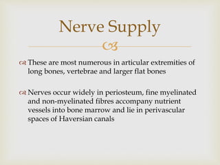 
 These are most numerous in articular extremities of
long bones, vertebrae and larger flat bones
 Nerves occur widely in periosteum, fine myelinated
and non-myelinated fibres accompany nutrient
vessels into bone marrow and lie in perivascular
spaces of Haversian canals
Nerve Supply
 