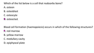Which of the list below is a cell that reabsorbs bone?
A. osteon
B. osteoblast
C. osteocyte
D. osteoclast
Blood cell formation (haemopoiesis) occurs in which of the following structures?
A. red marrow
B. yellow marrow
C. medullary cavity
D. epiphyseal plate
 