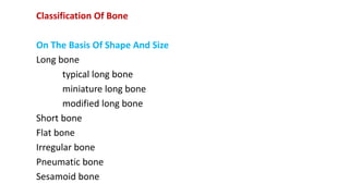 Classification Of Bone
On The Basis Of Shape And Size
Long bone
typical long bone
miniature long bone
modified long bone
Short bone
Flat bone
Irregular bone
Pneumatic bone
Sesamoid bone
 