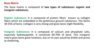 Bone Matrix
The bone matrix is composed of two types of substances: organic and
inorganic substances.
Organic Substance: It is composed of protein fibers known as collagen
fibers which are embedded in the gelatinous ground substances. This forms
30-35% of bone. Collagen is very strong and gives bone slight flexibility.
Inorganic Substances: It is composed of calcium and phosphate salts,
especially hydroxyapatite. It constitute 60-70% of bone. This inorganic
matrix gives bone great hardness, but on its own would be brittle and prone
to shattering.
 