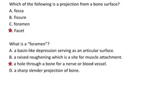 Which of the following is a projection from a bone surface?
A. fossa
B. fissure
C. foramen
D. Facet
What is a “foramen”?
A. a basin-like depression serving as an articular surface.
B. a raised roughening which is a site for muscle attachment.
C. a hole through a bone for a nerve or blood vessel.
D. a sharp slender projection of bone.
 