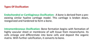 Types Of Ossification
Endochondral or Cartilaginous Ossification: A bone is derived from a pre-
existing similar hyaline cartilage model. This cartilage is broken down,
reorganized and hardened to form a bone.
Intramembranous Ossification: Bone formation begins with formation of
highly vascular sheet or membrane of soft tissue from mesenchyme. Its
cells enlarge and differentiate into bone cells and deposit the organic
matrix. With further calcification, it converts to bone.
 