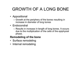 BONE in human Anatomy of the human body | PDF