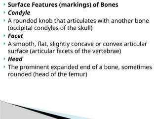 BONE.power point presentation anatomy and physiology | PPTX