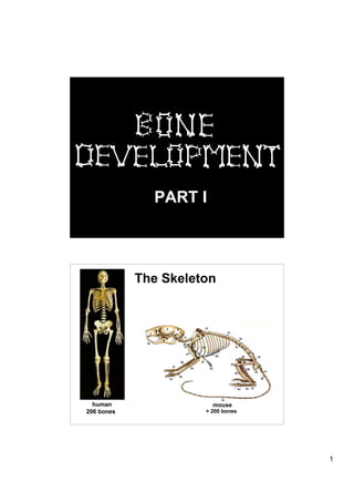 PART I



            The Skeleton




  human                 mouse
206 bones             > 200 bones




                                    1
 