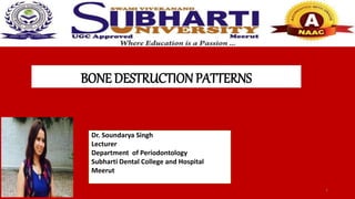 BONE DESTRUCTION PATTERNS
1
Dr. Soundarya Singh
Lecturer
Department of Periodontology
Subharti Dental College and Hospital
Meerut
 