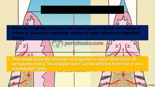 BONE-DESTRUCTION-PATTERNS-20208171318390.pptx