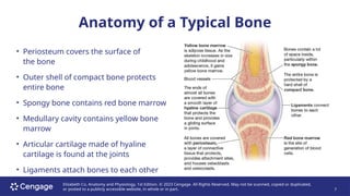 Shell Ligament bone-devt.pptxdadasdasdasdasdasdasdasdasda | PPTX