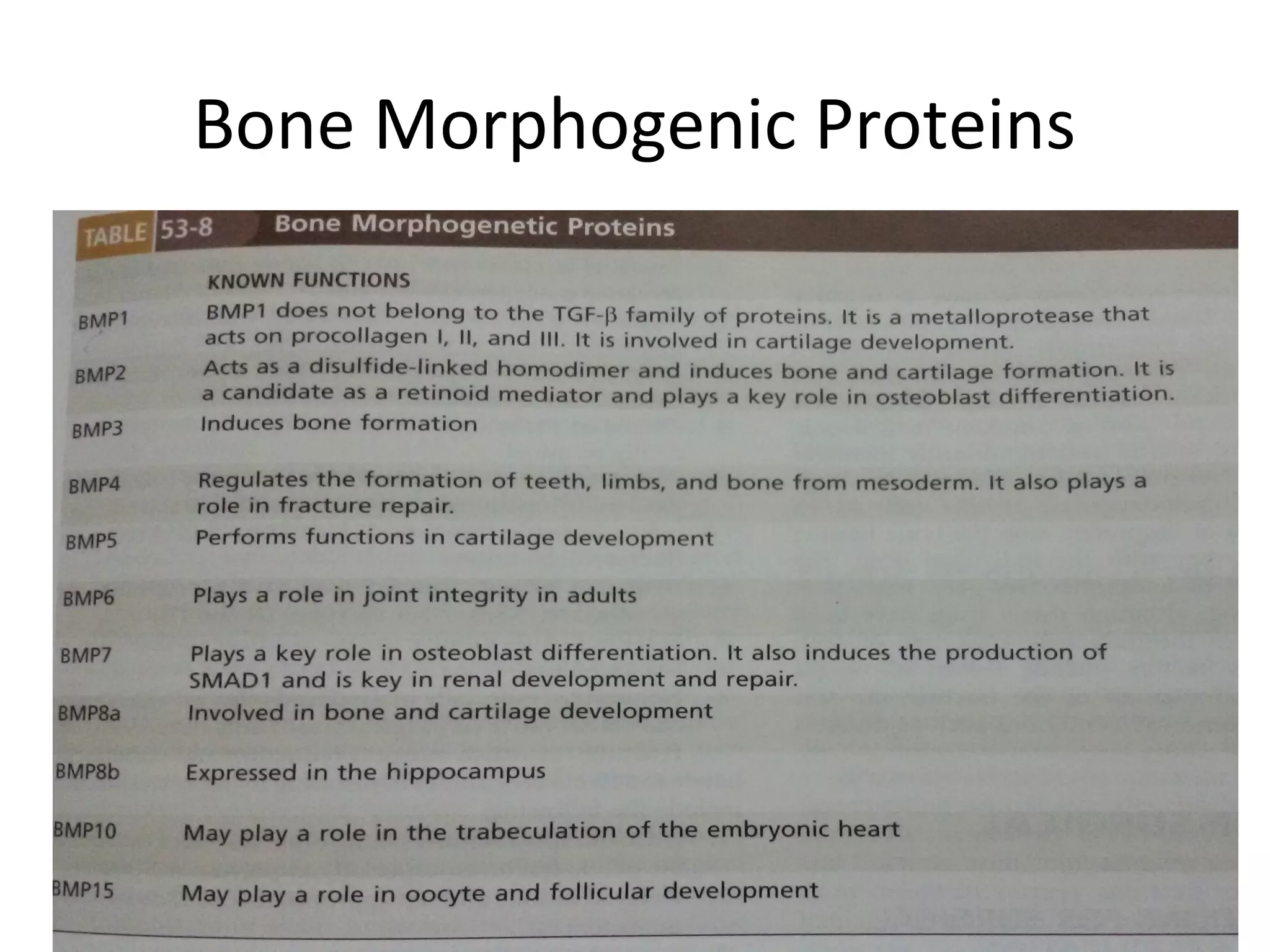 Bone Morphogenic Proteins 
 