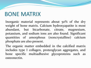 BONE MATRIX
Inorganic material represents about 50% of the dry
weight of bone matrix. Calcium hydroxyapatite is most
abundant, but bicarbonate, citrate, magnesium,
potassium, and sodium ions are also found. Significant
quantities of amorphous (noncrystalline) calcium
phosphate are also present.
The organic matter embedded in the calcified matrix
includes type I collagen, proteoglycan aggregates, and
bone specific multiadhesive glycoproteins such as
osteonectin.
 