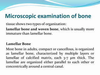 Microscopic examination of bone
tissue shows two types of organization:
lamellar bone and woven bone, which is usually more
immature than lamellar bone.
Lamellar Bone
Most bone in adults, compact or cancellous, is organized
as lamellar bone, characterized by multiple layers or
lamellae of calcified matrix, each 3-7 μm thick. The
lamellae are organized either parallel to each other or
concentrically around a central canal.
 
