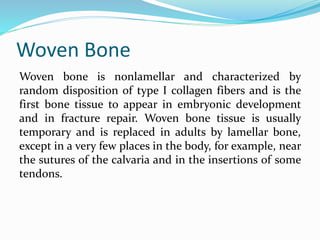 Woven Bone
Woven bone is nonlamellar and characterized by
random disposition of type I collagen fibers and is the
first bone tissue to appear in embryonic development
and in fracture repair. Woven bone tissue is usually
temporary and is replaced in adults by lamellar bone,
except in a very few places in the body, for example, near
the sutures of the calvaria and in the insertions of some
tendons.
 