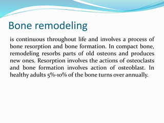 Bone remodeling
is continuous throughout life and involves a process of
bone resorption and bone formation. In compact bone,
remodeling resorbs parts of old osteons and produces
new ones. Resorption involves the actions of osteoclasts
and bone formation involves action of osteoblast. In
healthy adults 5%-10% of the bone turns over annually.
 