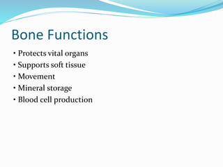 Bone Functions
• Protects vital organs
• Supports soft tissue
• Movement
• Mineral storage
• Blood cell production
 