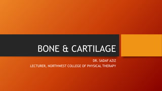 BONE & CARTILAGE
DR. SADAF AZIZ
LECTURER, NORTHWEST COLLEGE OF PHYSICAL THERAPY
 