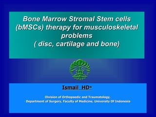 [object Object],[object Object],[object Object],Bone Marrow Stromal Stem cells (bMSCs)  therapy for musculoskeletal problems  ( disc, cartilage and bone)   