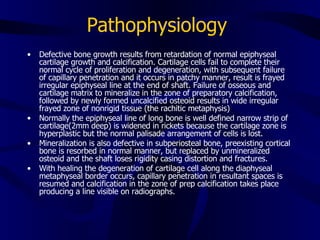 Bone Metabolism Ortho New | PPT