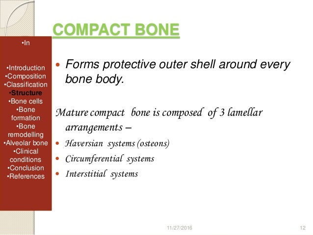 Bone Bone