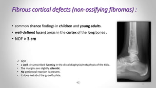 Fibrous cortical defects (non-ossifying fibromas) :
• common chance findings in children and young adults.
• well-defined lucent areas in the cortex of the long bones .
• NOF > 3 cm
 NOF :
• a well circumscribed lucency in the distal diaphysis/metaphysis of the tibia.
• The margins are slightly sclerotic.
• No periosteal reaction is present.
• It does not abut the growth plate.
15
 