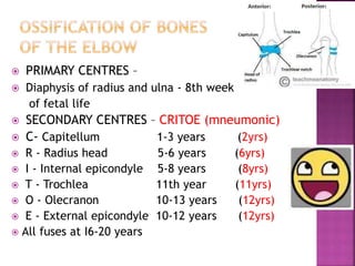 Critoe Age Ranges Bone age assessment dr ankita | PPTX