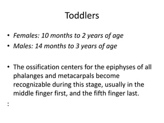 Toddlers 
• Females: 10 months to 2 years of age 
• Males: 14 months to 3 years of age 
• The ossification centers for the epiphyses of all 
phalanges and metacarpals become 
recognizable during this stage, usually in the 
middle finger first, and the fifth finger last. 
: 
 