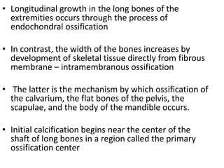 • Longitudinal growth in the long bones of the 
extremities occurs through the process of 
endochondral ossification 
• In contrast, the width of the bones increases by 
development of skeletal tissue directly from fibrous 
membrane – intramembranous ossification 
• The latter is the mechanism by which ossification of 
the calvarium, the flat bones of the pelvis, the 
scapulae, and the body of the mandible occurs. 
• Initial calcification begins near the center of the 
shaft of long bones in a region called the primary 
ossification center 
 