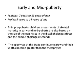 Early and Mid-puberty 
• Females: 7 years to 13 years of age 
• Males: 9 years to 14 years of age 
• As in pre-pubertal children, assessments of skeletal 
maturity in early and mid-puberty are also based on 
the size of the epiphyses in the distal phalanges (first) 
and the middle phalanges (second). 
• The epiphyses at this stage continue to grow and their 
widths become greater than the metaphyses 
 