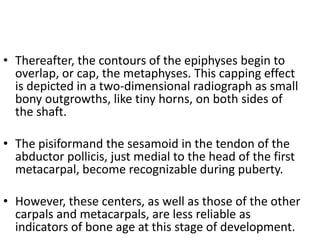 • Thereafter, the contours of the epiphyses begin to 
overlap, or cap, the metaphyses. This capping effect 
is depicted in a two-dimensional radiograph as small 
bony outgrowths, like tiny horns, on both sides of 
the shaft. 
• The pisiformand the sesamoid in the tendon of the 
abductor pollicis, just medial to the head of the first 
metacarpal, become recognizable during puberty. 
• However, these centers, as well as those of the other 
carpals and metacarpals, are less reliable as 
indicators of bone age at this stage of development. 
 
